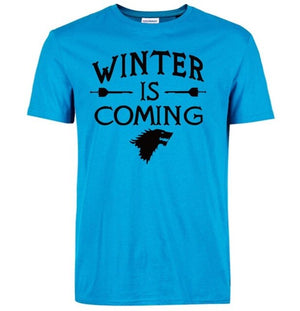 Winter is comingT-Shirt